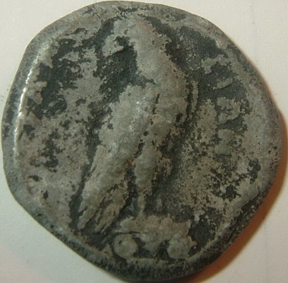 Elis,-Olympia-Coin-?-Know-More-On-This-Specific-Type?